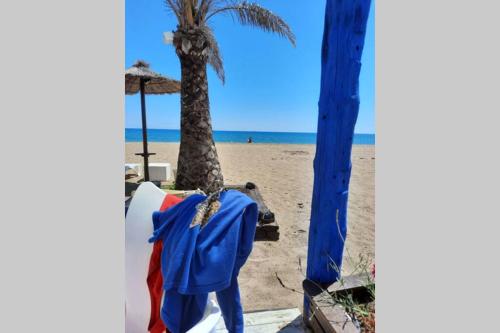 卡拉费尔Calafell beach experience- Calafell playa的棕榈树海滩和椅子上的蓝色衬衫