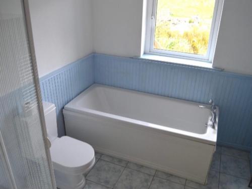 DoocharyBeautiful Thatched Adderwal Cottage Donegal的带浴缸、卫生间和窗户的浴室