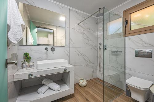 阿莫迪Kozanos Suites with Private Pool的带淋浴、盥洗盆和卫生间的浴室