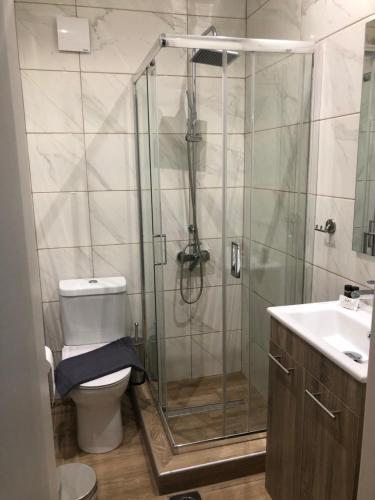 卡托劳塔翁Zillis Apartments的带淋浴、卫生间和盥洗盆的浴室