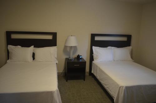 巴索尔特格林德莱克酒店的两张睡床彼此相邻,位于一个房间里