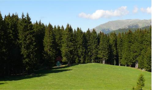 吉雷松North Chalets的树木前方的一片大片绿地