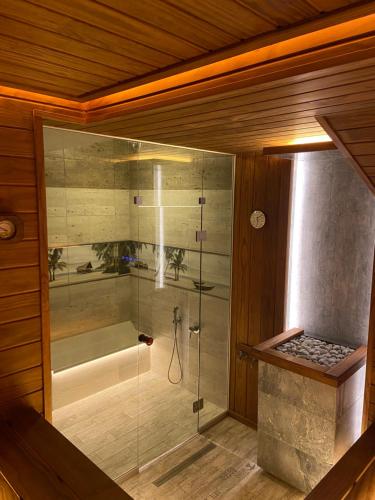 阿德勒LOFT studii的带淋浴的浴室和玻璃门
