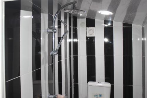 库塔伊西Guest house Katerina的浴室设有黑色和白色条纹墙