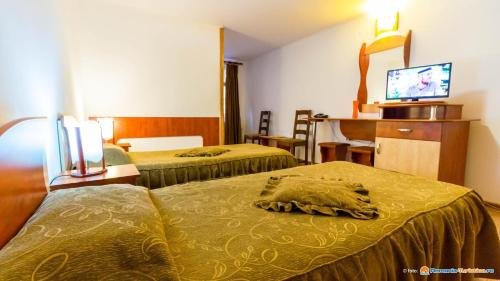 肯普隆格Anomis的酒店客房设有两张床和电视。