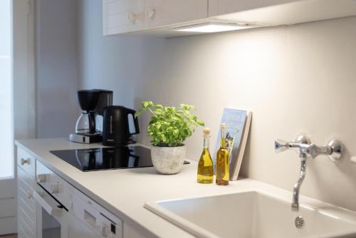 瑞汀Strandkoje Wohnung 8的厨房配有水槽和植物台面