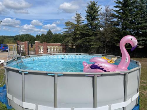 DobrzewinoVilla Lake&Forest Trójmiasto的一个大游泳池,里面装有粉红色的火烈鸟