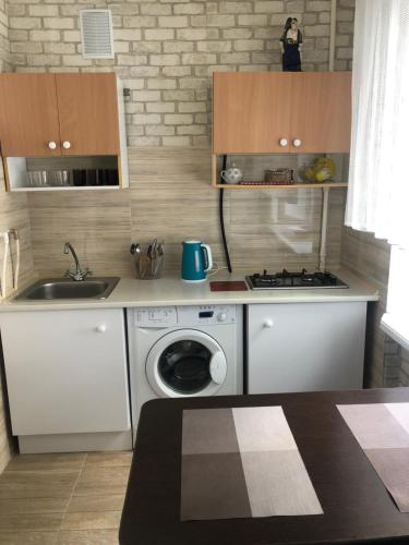 基辅Kyiv Apartment in Pechersk on Oleksandra Kopylenko的一个带水槽和洗衣机的小厨房