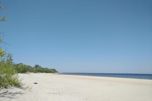 Renovated wooden cottage 300 meters from the beach平面图