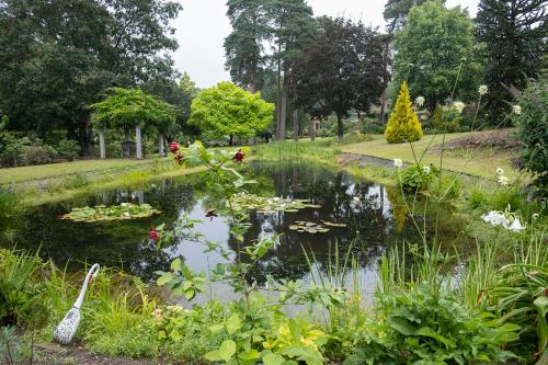 斯托灵顿Pinecroft Barn - Relax & Unwind!的公园里的一个池塘,里面放着百合花