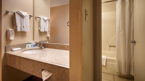 圣安东尼奥SureStay Plus by Best Western San Antonio Fiesta Inn的一间带水槽和淋浴的酒店浴室