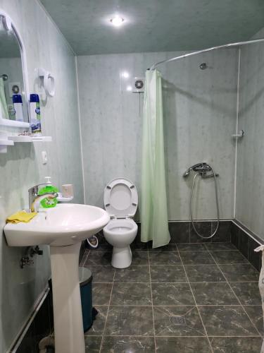 梅斯蒂亚Guest House Nanu的浴室配有卫生间、淋浴和盥洗盆。