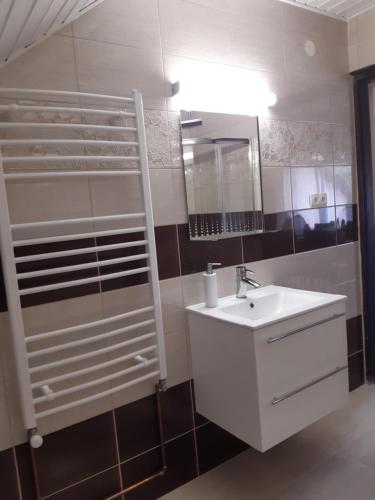 凯斯特海伊Toldi Apartman的白色的浴室设有水槽和镜子