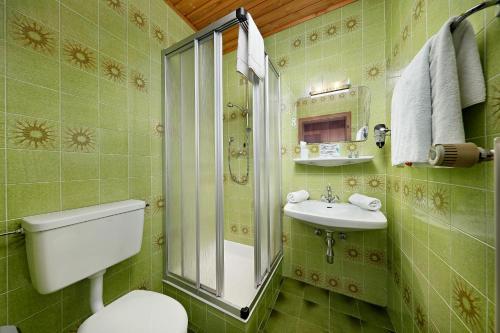 Gasthof Mesnerwirt的一间浴室