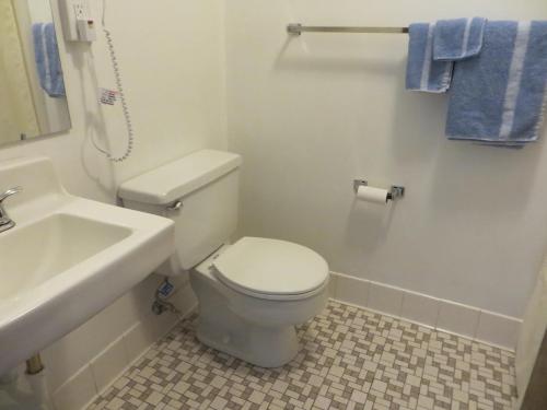 TildenCountry Villa Motel的浴室配有白色卫生间和盥洗盆。