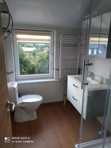 巴特维尔东根Nina的一间带卫生间和窗户的浴室