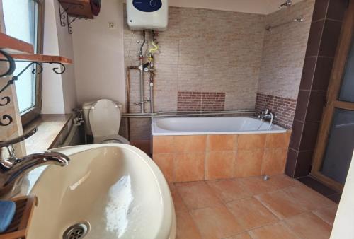 科尔贝尼vila zia的带浴缸、卫生间和盥洗盆的浴室