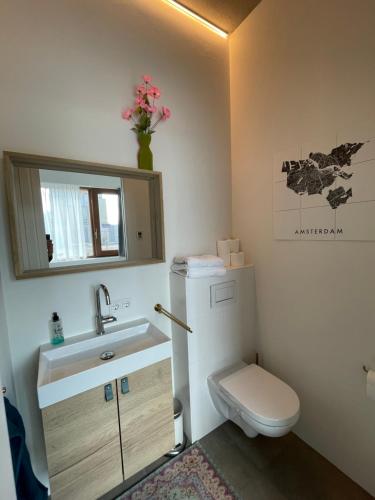 阿姆斯特丹Bed & Beach Amsterdam的一间带卫生间和水槽的小浴室