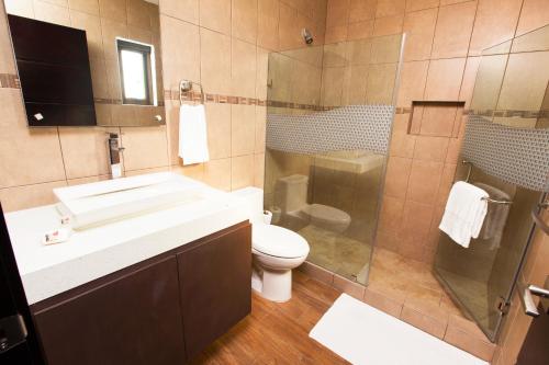 蒙特里科Hotel El Faro的一间带水槽、卫生间和淋浴的浴室