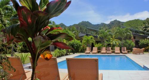 拉罗汤加穆里海滩度假酒店的度假村的游泳池,带椅子和植物