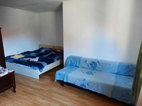 布拉索夫Casa Adrian CAMERE CENTRU VECHI的一间带两张床和一张沙发的卧室