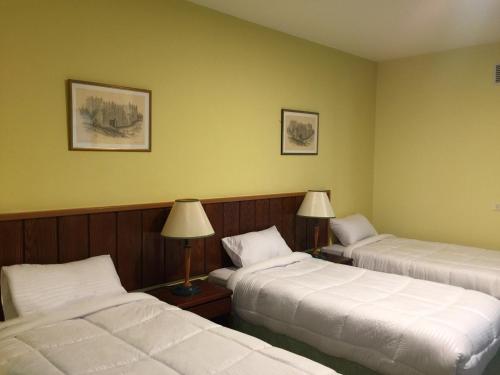希伯仑Regency Hotel Hebron的酒店客房设有两张床和两盏灯。
