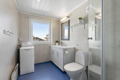 阿伦达尔Apartment with amazing views - free parking的一间带卫生间、水槽和窗户的浴室