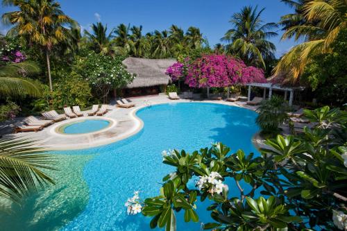 马尔代夫库拉马蒂度假酒店内部或周边的泳池
