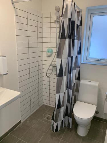 奥斯特赫鲁普Den Gode Søvn的一间带卫生间和淋浴的浴室