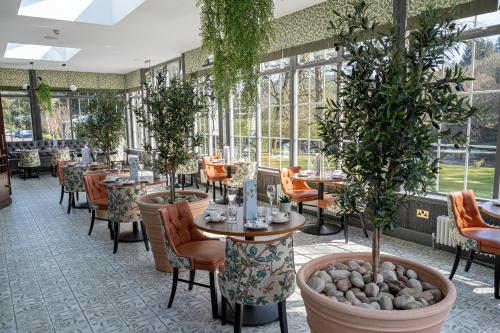 邓凯尔德邓凯尔德之家酒店的一间设有桌椅和盆栽树木的餐厅