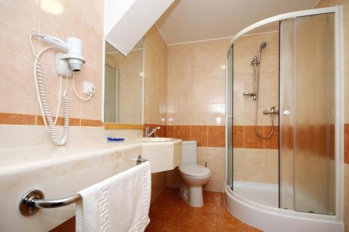 奥斯拉瓦河畔纳梅什季Hotel Restaurant Na Statku的带淋浴、卫生间和盥洗盆的浴室
