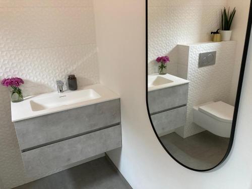 亨克B&B La Miniera的浴室设有镜子、盥洗盆和卫生间