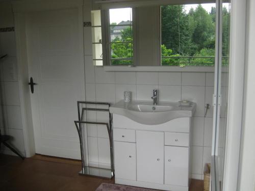 本德Haus ReWi的一间带水槽和窗户的浴室