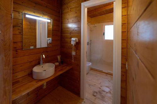 卡斯特沃托诺Plana Resort & SPA的一间带水槽和镜子的浴室