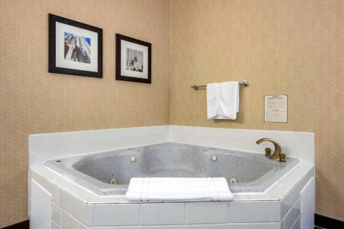 华盛顿梅多兰兹康福特茵酒店的相册照片