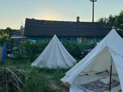 苏利纳Danube Delta Hostel Homestay & Camping的一座建筑前草上两顶白色帐篷