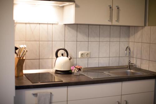 巴德克洛斯特尔劳斯尼茨Ferienwohnung Am Kurpark的厨房配有水槽和茶壶,位于柜台上