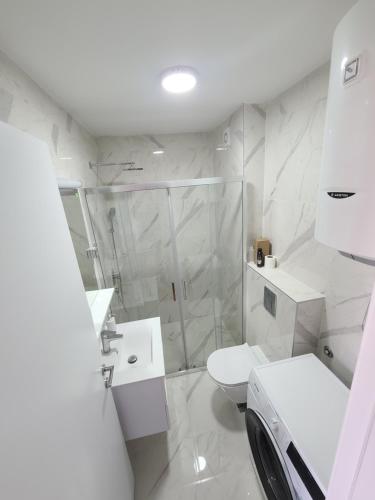 贝尔格莱德Bella Vita Dorćol的带淋浴和卫生间的白色浴室