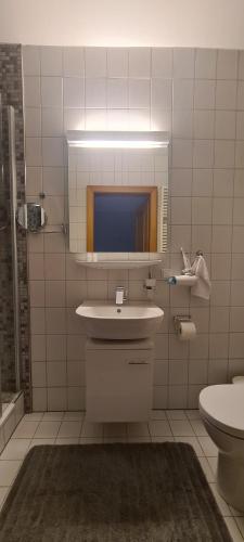 Gasthof Alte Post的一间浴室