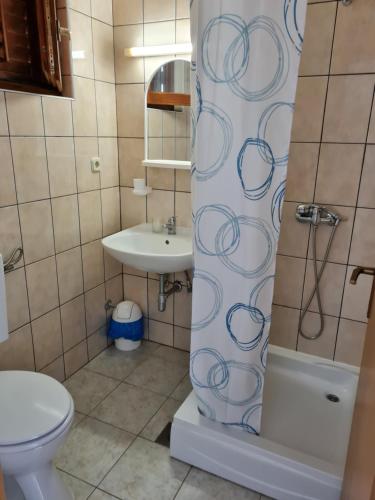维斯Resort Village T.N. Milna的一间带卫生间和水槽的浴室