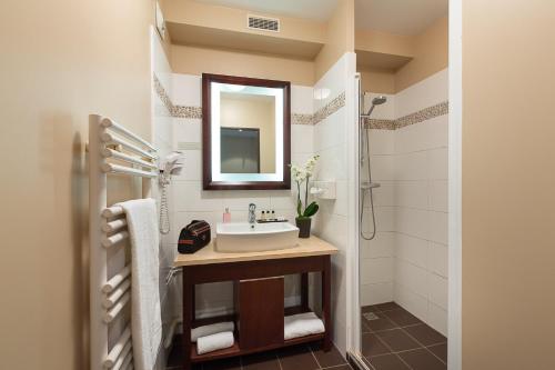 安东尼德贝尔尼酒店的一间带水槽和镜子的浴室