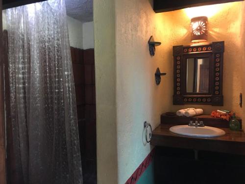 La CiénegaRancho Cumbre Monarca的一间带水槽和淋浴帘的浴室