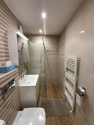 萨莫科夫Луксозен апартамент с WiFi на 10км от Боровец的带淋浴、卫生间和盥洗盆的浴室