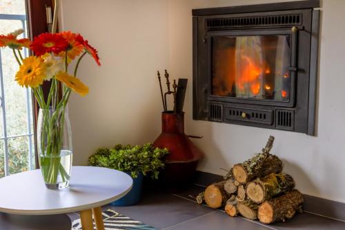 塔布阿Quinta da Lontra的客厅设有壁炉和带鲜花的桌子。