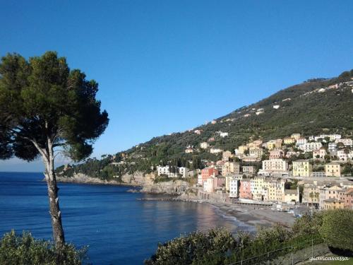 索里Oltre Mare的海边小山上的一个小镇