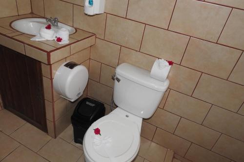 比加瓜Heliconias Rainforest Lodge的一间带卫生间和水槽的浴室