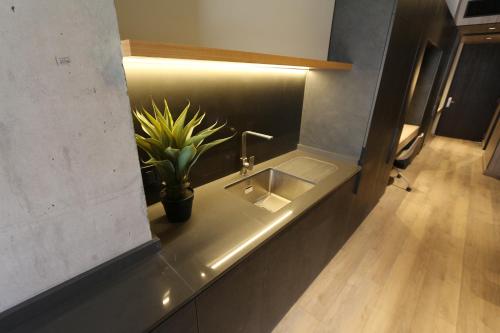 圣地亚哥Nucleo Mayor Apart的一间带水槽和盆栽植物的浴室