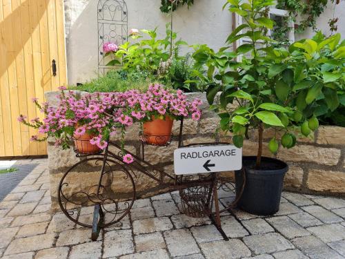 贝兴Zum Dallmayr Hotel Garni的花木车上挂着花和盆栽植物