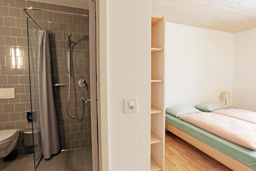 圣莫里茨圣莫里茨青年旅舍的带淋浴的小浴室和床。