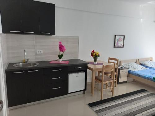 巴尔Apartman Savić的厨房配有水槽、桌子和床。